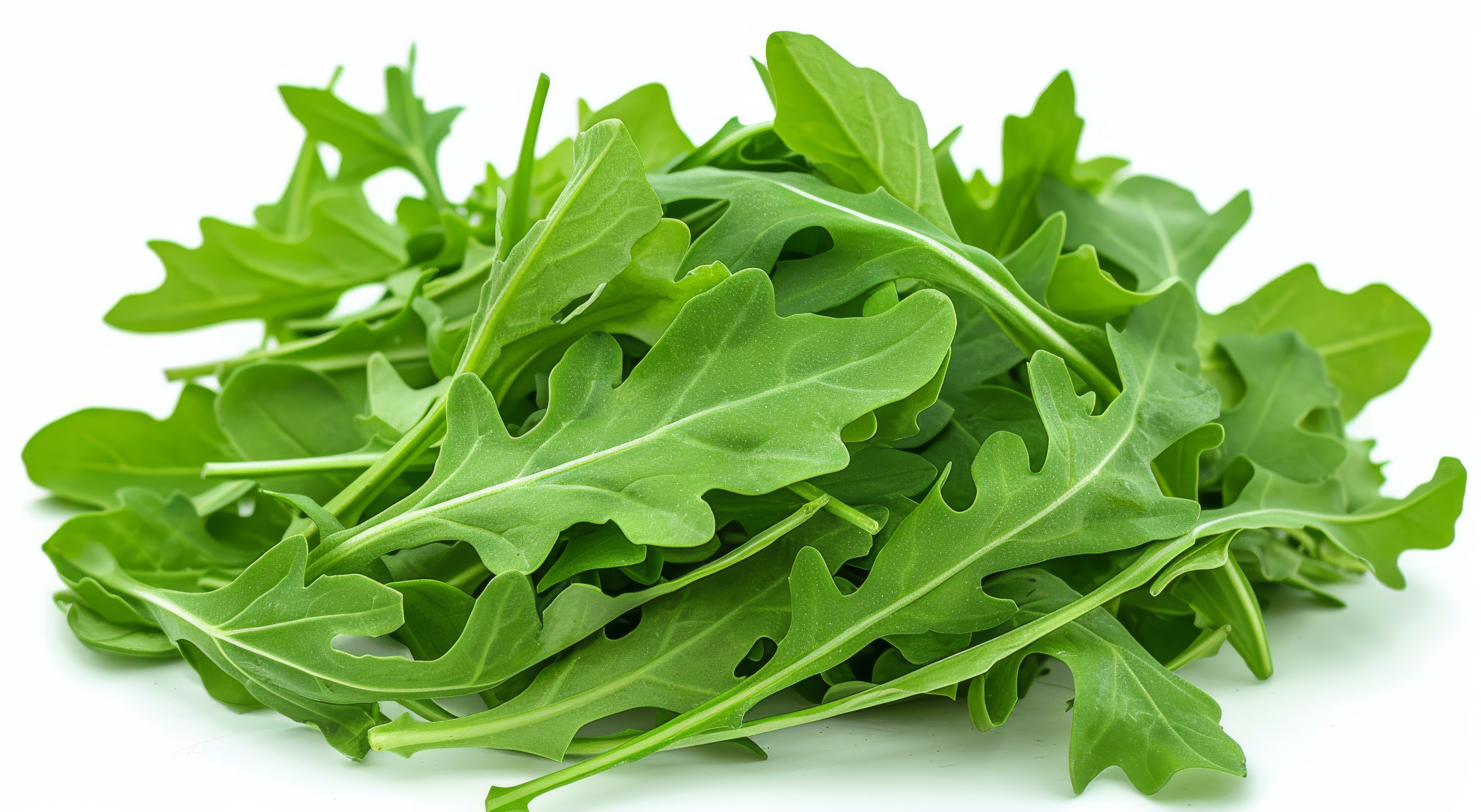 Rocket Leaves